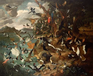 Het parlement van de vogels
