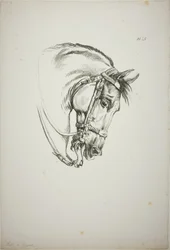 Detail van paardenhoofd, vergroot tot drievoudige grootte, Normandische Koninklijke Garde, nr. 5, Eerste Limoges Paard