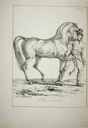 Koninklijke Garde, Normandische Ridder, niet in Vol Ornaat, en Paard, Nr. 3