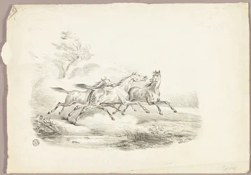 Drie rennende paarden