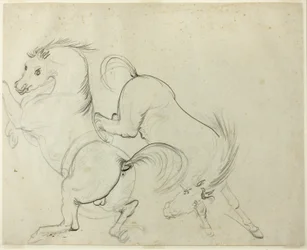 Twee paarden dartelen (recto); Man op een schoppend paard (verso)