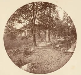 In de Yosemite-vallei, ca. 1878