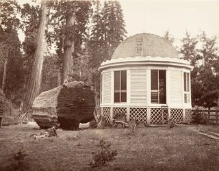 Het Huis Gebouwd over de Stronk van een Grote Boom, 1865-66, gedrukt ca. 1876