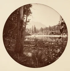 [Yosemite National Park, Californië], ca. 1878.