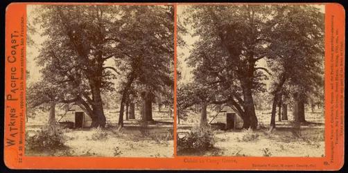 Hut in Camp Grove, Yosemite Valley, Mariposa County, Cal