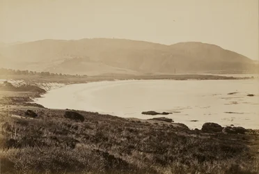 [Kustgezicht, Monterey]