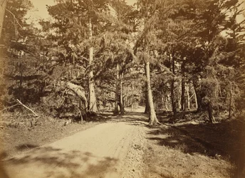 [Monterey, Californië. Moss Avenue, 18 Mile Drive].
