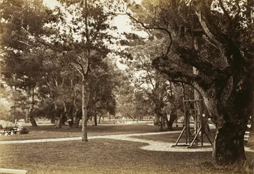 [Park nabij Hotel del Monte, Monterey?]