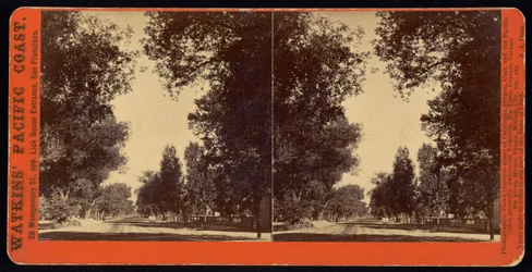 Met bomen omzoomde straat in San Gabriel, Californië
