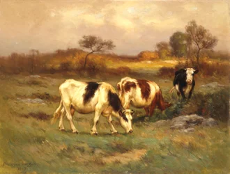 De weide