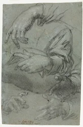 Studies van handen