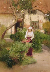 Oma