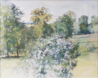 Juni vanuit ons raam, 2007