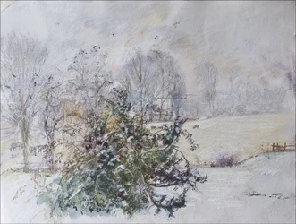 Winter vanuit ons raam, 2009
