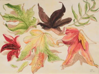 Herfstbladeren, 1993