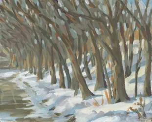 Bomen langs een besneeuwde rivieroever