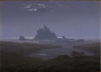 Rotsrif aan de zeekust