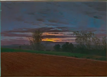 Stoppelveld
