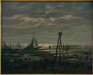 Moerassig strand