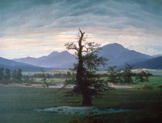 De Eenzame Boom, 1823