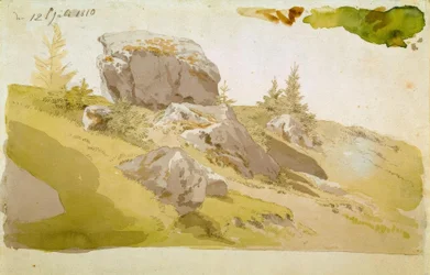Weidelandschap met rotsen in het Reuzengebergte