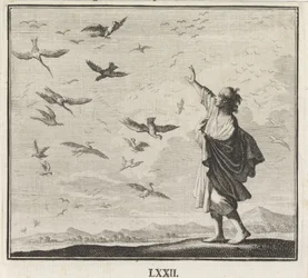Embleem: vogels