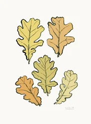 Herfstbladeren van de eik