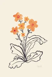 Levendige oranje bloemen