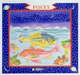 Vissen