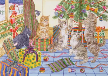 De Kerst van de Katten