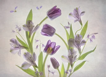 Zachtpaarse bloemen