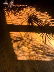 Compositie - Schaduwen, 2019