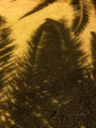 Compositie - Schaduwen, 2021