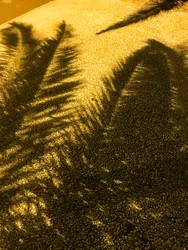 Compositie - Schaduwen, 2021