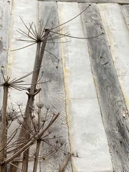 Compositie, Architectuur 2022 (foto)