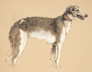 Borzoi, 1930, Illustraties uit zijn schetsboek gebruikt voor Just Among Friends, later gepubliceerd door Eyre en Spottiswoode Limited, 1934