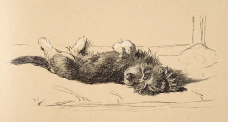Ruwe Dashond Puppy (detail), 1930, Illustraties uit zijn Schetsboek gebruikt voor Just Among Friends, Aldin, Cecil Charles Windsor (1870-1935), later uitgegeven door Eyre and Spottiswoode Limited, 1934
