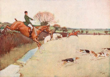 De honden kwamen het veld over rennen... de paarden volgden dicht achter de honden