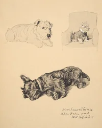 Draadhaar Terrier, Aberdeen en West Highlander, 1930, Illustraties uit zijn Schetsboek gebruikt voor Just Among Friends, Aldin, Cecil Charles Windsor (1870-1935), later uitgegeven door Eyre and Spottiswoode Limited