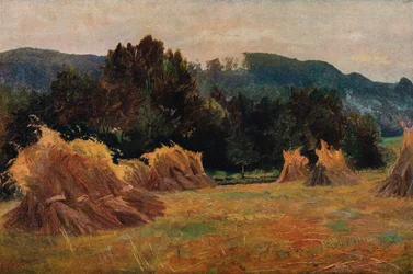 De Vale van Meifod, 1873