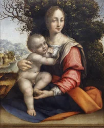 Madonna en Kind (Onze Lieve Vrouw van de Boom)