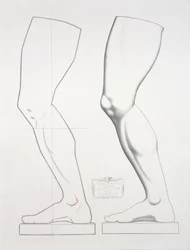 Been van Germanicus, plaat 25 uit Cours du Dessin Volume I: Modeles dapres la bosse, c.1868