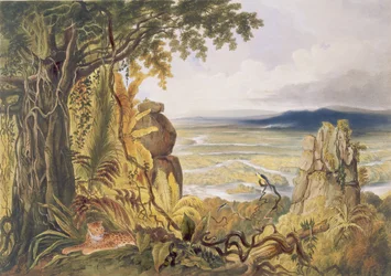 De Comuti of Taquiare-rots, aan de rivier de Essequibo, uit 