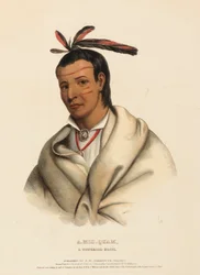 A-MIS-QUAM, A WINNEBAGO BRAVE, uit History of Indian Tribes of North America.
