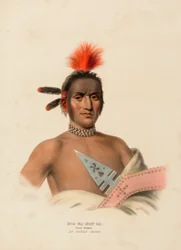 MOA-NA-HON-GA. GROTE WALKER. AN IOWAY CHIEF, uit History of the Indian Tribes of North America.