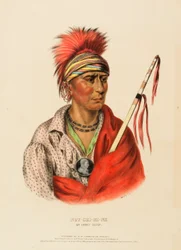 NOT-CHI-MI-NE. AN IOWAY CHIEF, uit History of the Indian Tribes of North America.