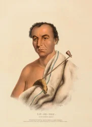 ON-GE-WAE. A CHIPPEWA CHIEF, uit History of the Indian Tribes of North America.