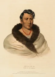 ONG PA TON GA. CHIEF OF THE OMAHAS, uit History of the Indian Tribes of North America.