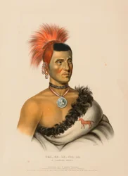 PES-KE-LE-CHA-CO, A PAWNEE CHIEF, uit History of the Indian Tribes of North America.