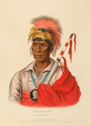 TEH-RO-HON, AN IOWAY WARRIOR, uit Geschiedenis van de Indianenstammen van Noord-Amerika